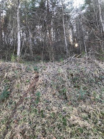 Lot 17 Turkey Creek Road - Photo 1