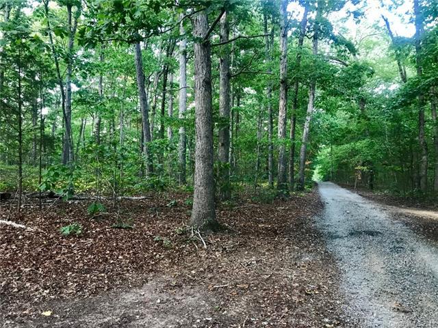 Tract 3A Mill Grove Road - Photo 1