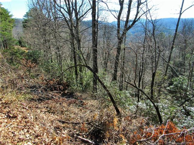TBD Nc 9 Highway - Photo 1