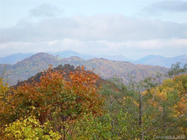 Lot C32 Odalu Trail - Photo 1