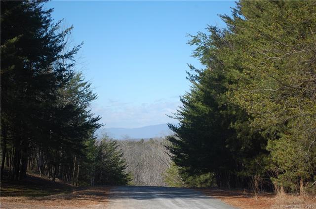 000 Forest Trail Drive - Photo 1