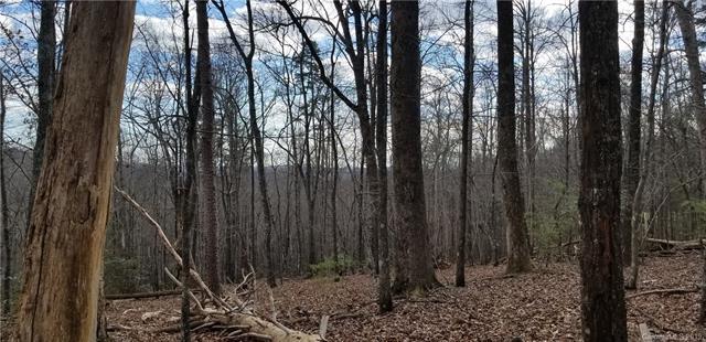 0 Bluebird Road - Photo 1