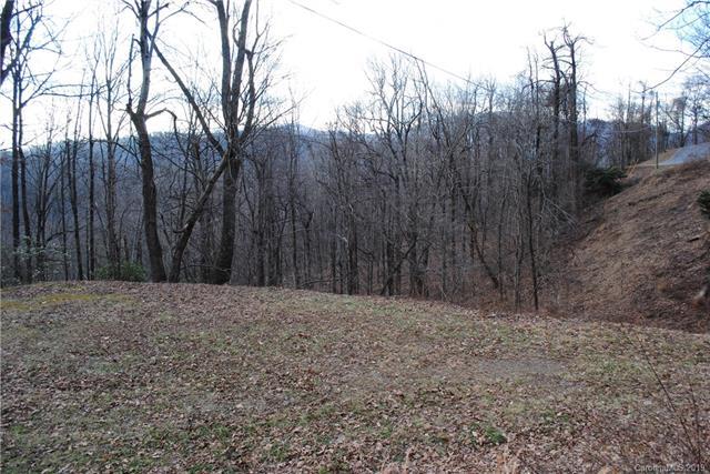 TBD Locust Ridge - Photo 1