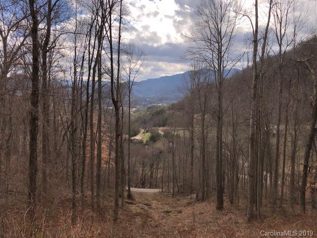 39 Spring Valley Trail - Photo 1