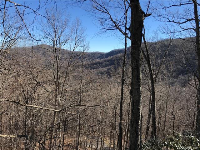 000 Celo Heights Way - Photo 1