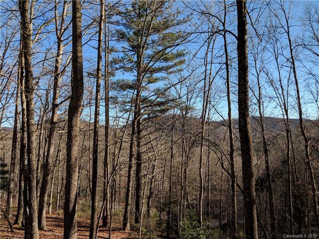 39 Black Bear Ridge Trail - Photo 1