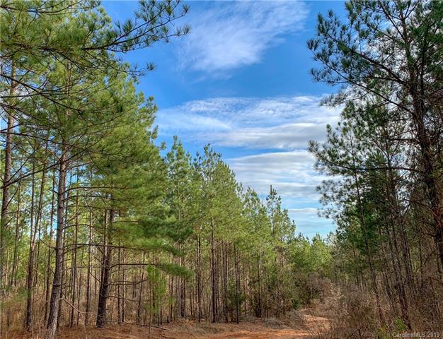00 Old Ferry Road - Photo 1
