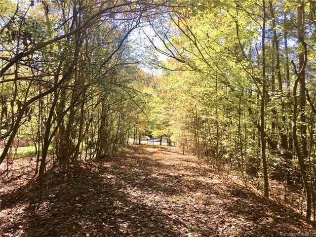 00 Lancaster Highway - Photo 1