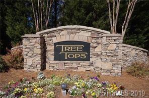Lot 107 Burning Ridge Drive - Photo 1