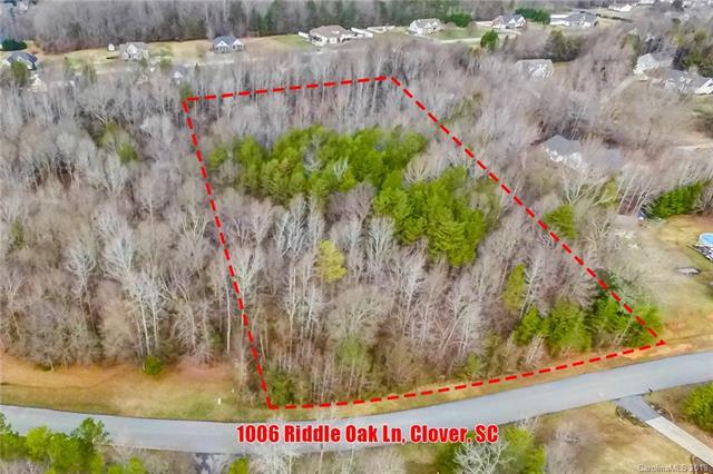 1006 Riddle Oak Lane - Photo 1