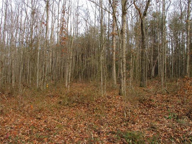 8.82 acres Minnigan Lane - Photo 1