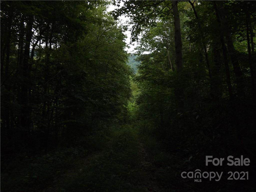 V/L Chapman Hill - Photo 1