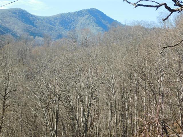 Lots 5 & 4 Hudson Valley Drive - Photo 1