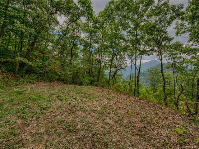 Lot G-4 Ataya Trail - Photo 1