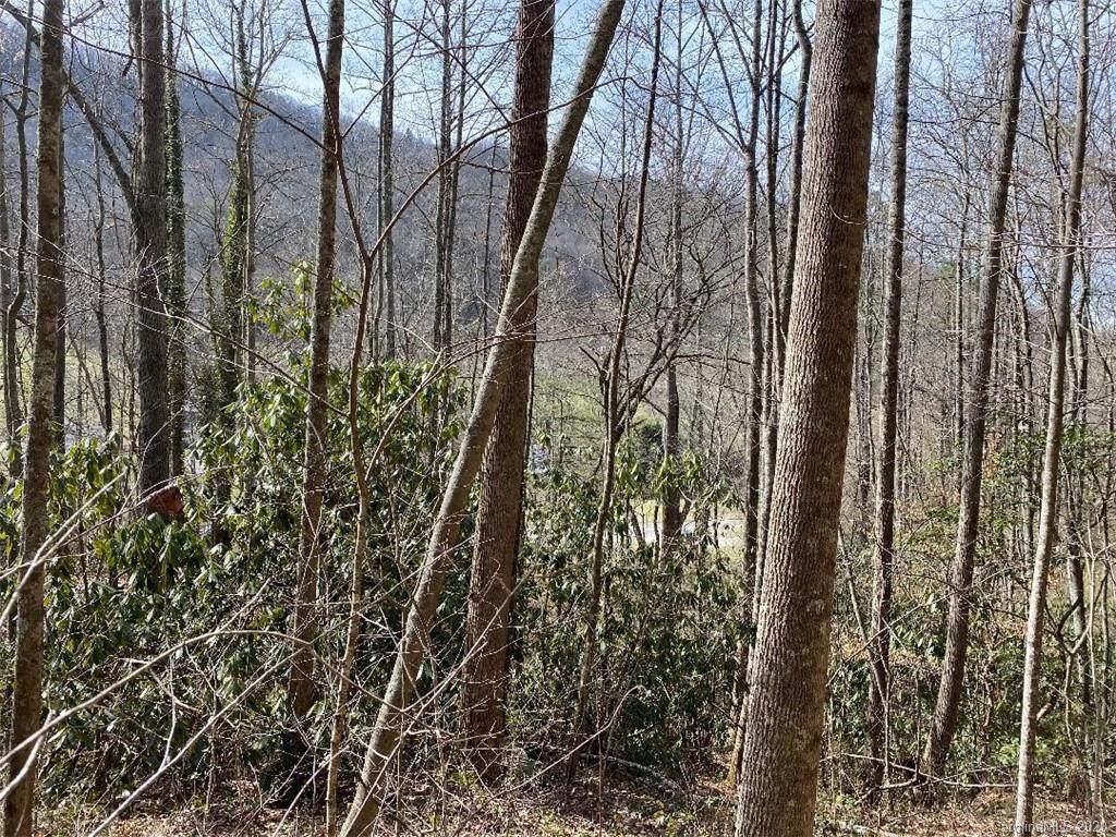 000 Terrys Gap Road - Photo 1