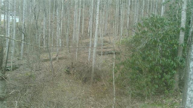 000 Terrys Gap Road - Photo 1