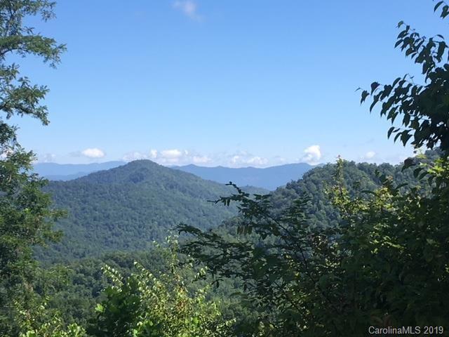 7810 Little Snowbird Road - Photo 1