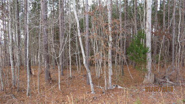 0 Freeman Road - Photo 1