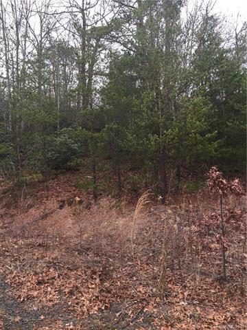 00 Linville Drive - Photo 1