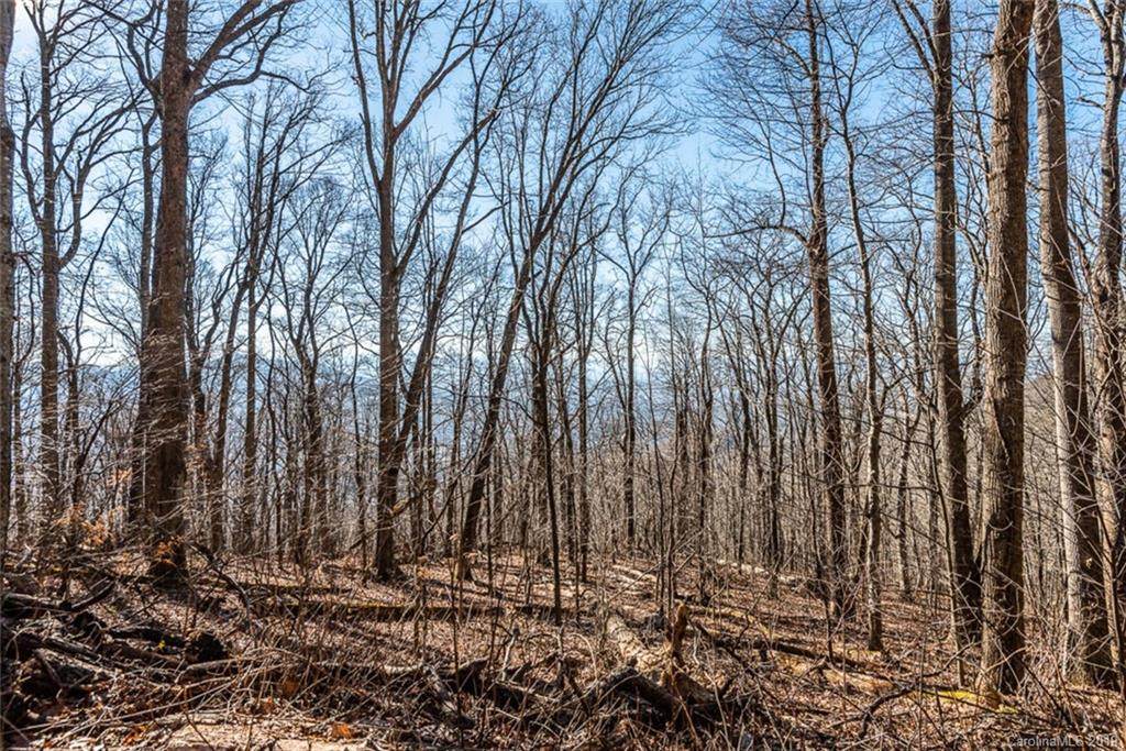 000 Winding Ridge Road - Photo 1