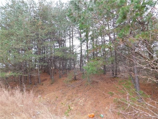 349 Forest Hollow Drive - Photo 1