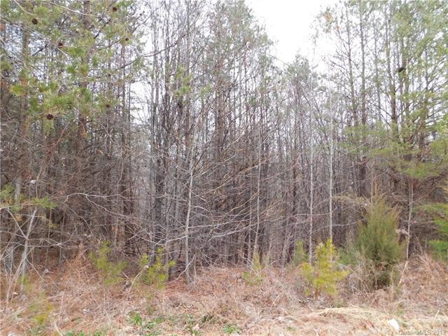 356 Forest Hollow Drive - Photo 1