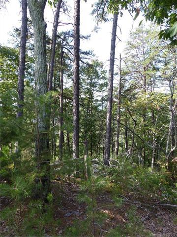 0 Arbra Mountain Way - Photo 1
