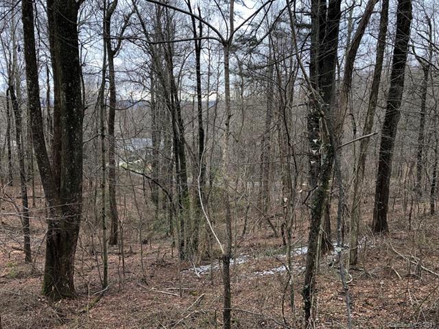 0 Laurel Park Highway - Photo 1