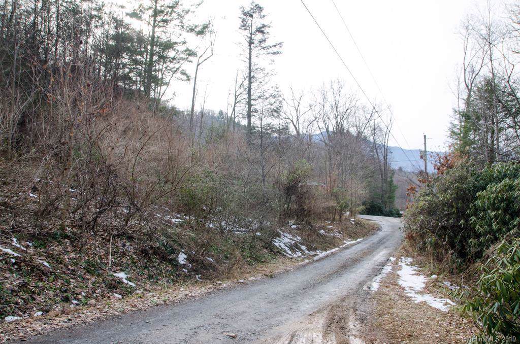 000 Blue Branch Road - Photo 1