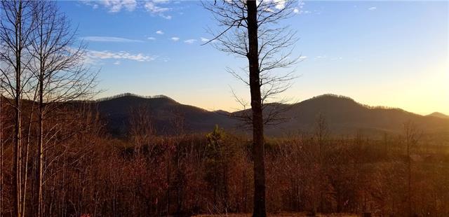 0 Scenic Vista Drive - Photo 1
