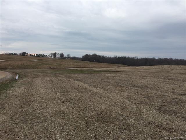 00 Williams Store Road - Photo 1