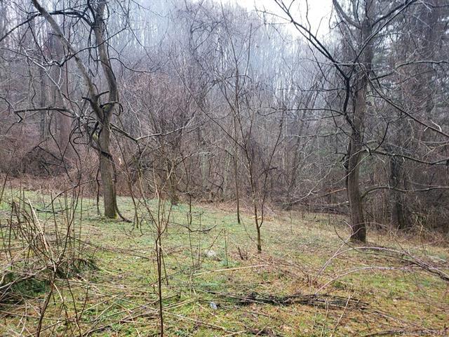 00 Spirit Mountain Road - Photo 1