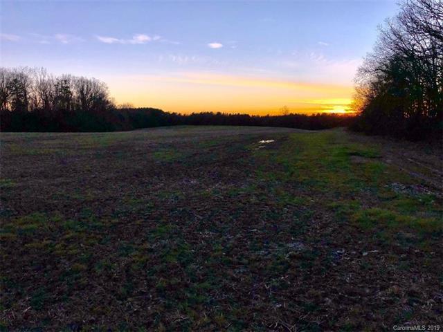 0000 Carl Taylor Road - Photo 1