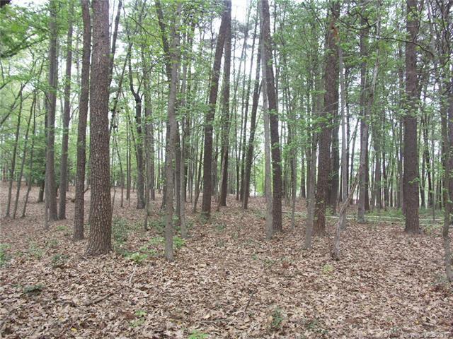 128 Yadkin Falls Road - Photo 1