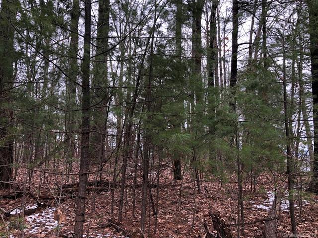 LOTS 30-31 Park Drive - Photo 1