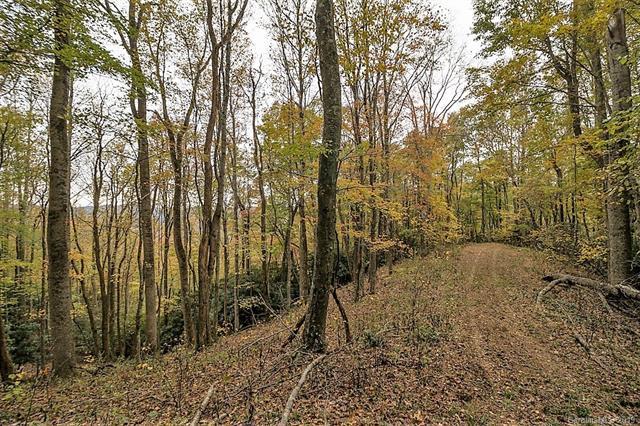 3758 (Lot 3) Rush Branch Road - Photo 1