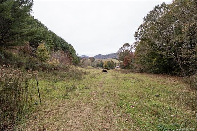 3758 (Lot 6) Rush Branch Road - Photo 1