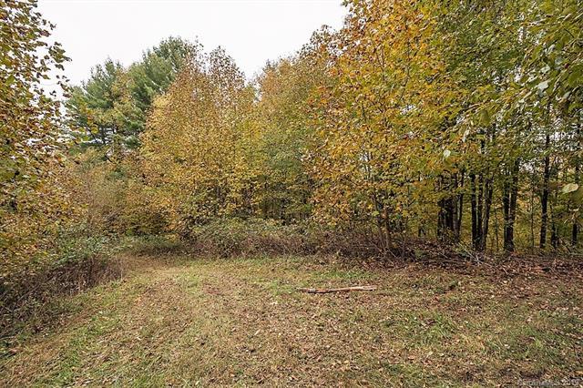 3758 (Lot 7) Rush Branch Road - Photo 1