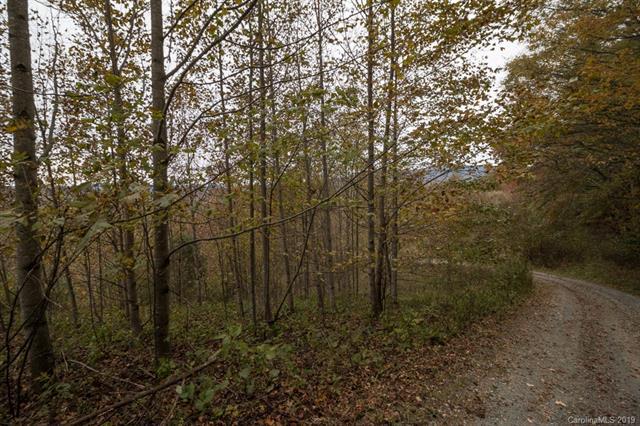 3758 (Lot 8) Rush Branch Road - Photo 1