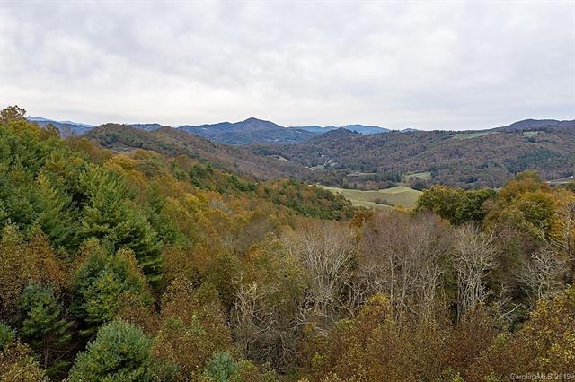3758 (Lot 9) Rush Branch Road - Photo 1