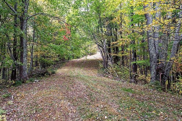 3758 (Lot 12) Rush Branch Road - Photo 1