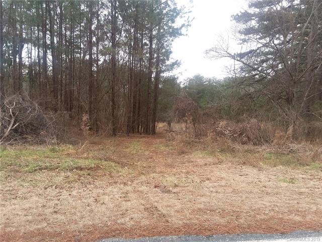 999 Polk County Line Road - Photo 1