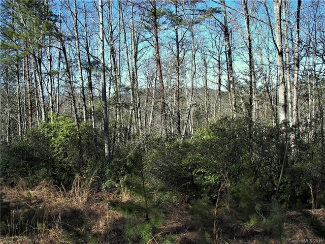 6 Acres Summerfield Lane - Photo 1
