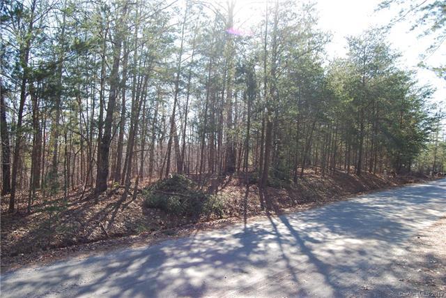 0 Sasafras Ridge - Photo 1