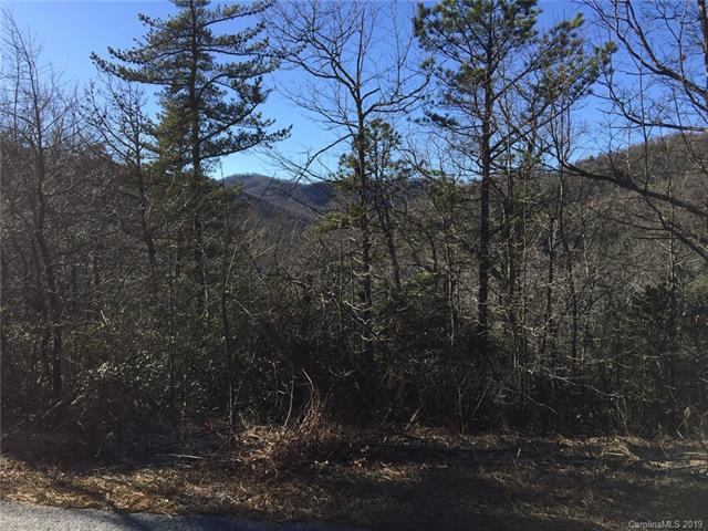 9999 Catawba Falls Parkway - Photo 1