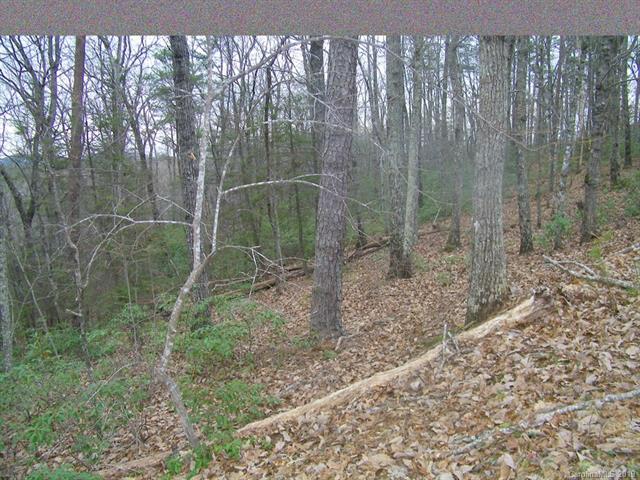 LOT 89 Chinquapin Road - Photo 1