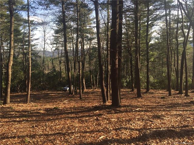 LOT 55 Winterberry Drive - Photo 1