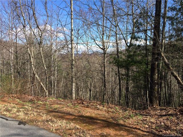 Lot 48 Feather Falls Trail - Photo 1