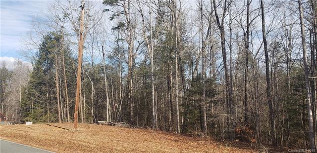 TBD Hidden View Loop - Photo 1