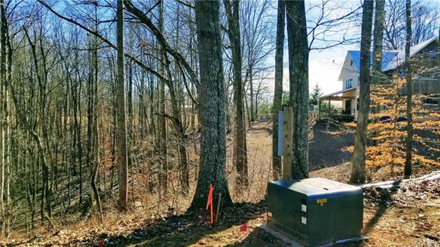 999 Bee Balm Way - Photo 1